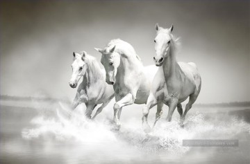 chevaux blancs en cours d’exécution Peinture à l'huile